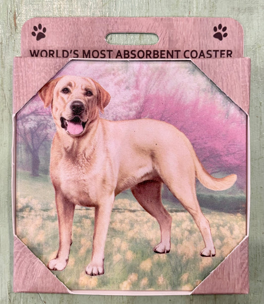 Yellow Lab Coaster