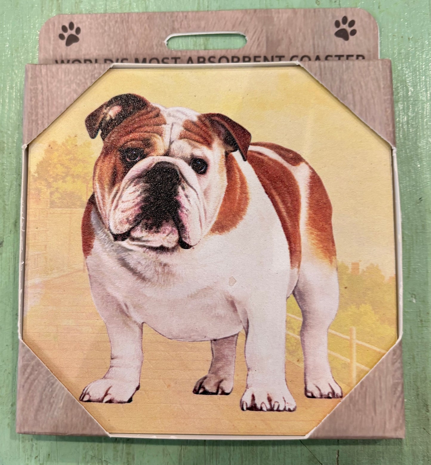 Bulldog Coaster