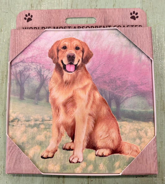Golden Retriever Coaster