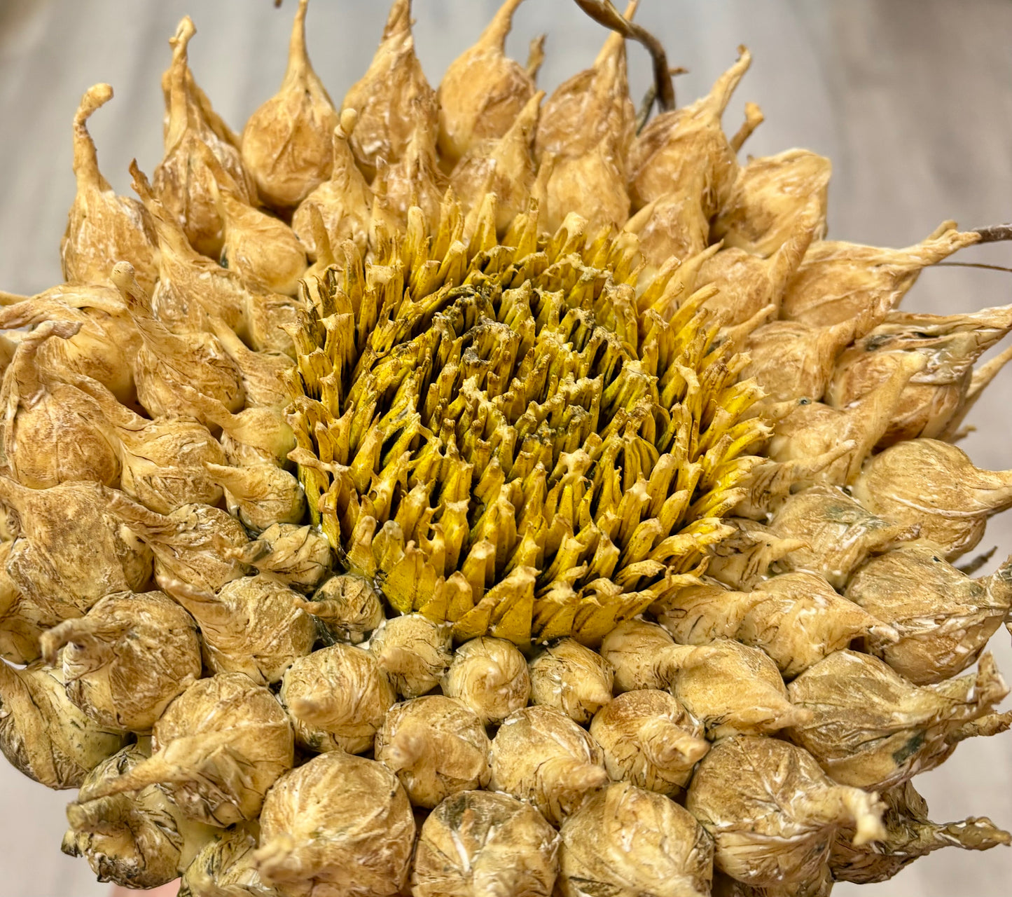 Faux Sunflower Stem