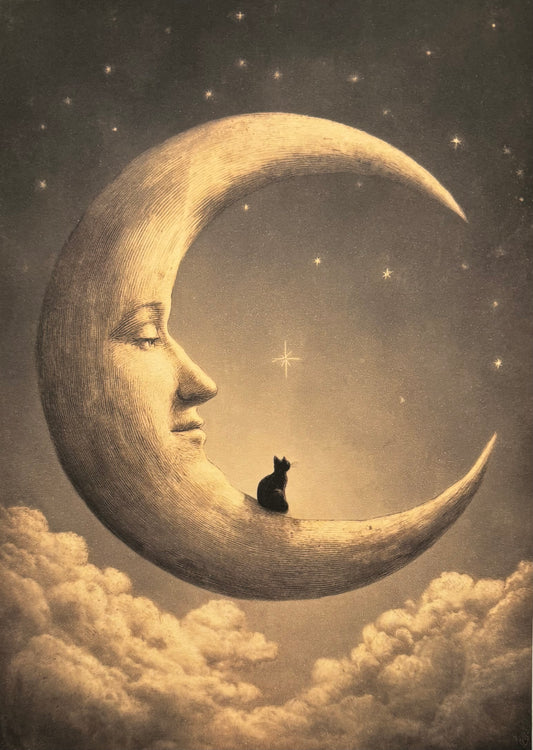 Victorian Moon and Cat Card