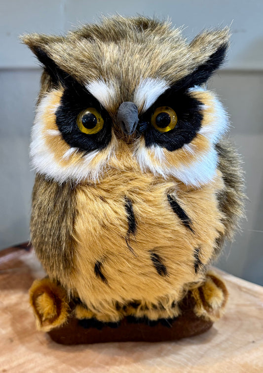 Great Horned Owl on Log/Small