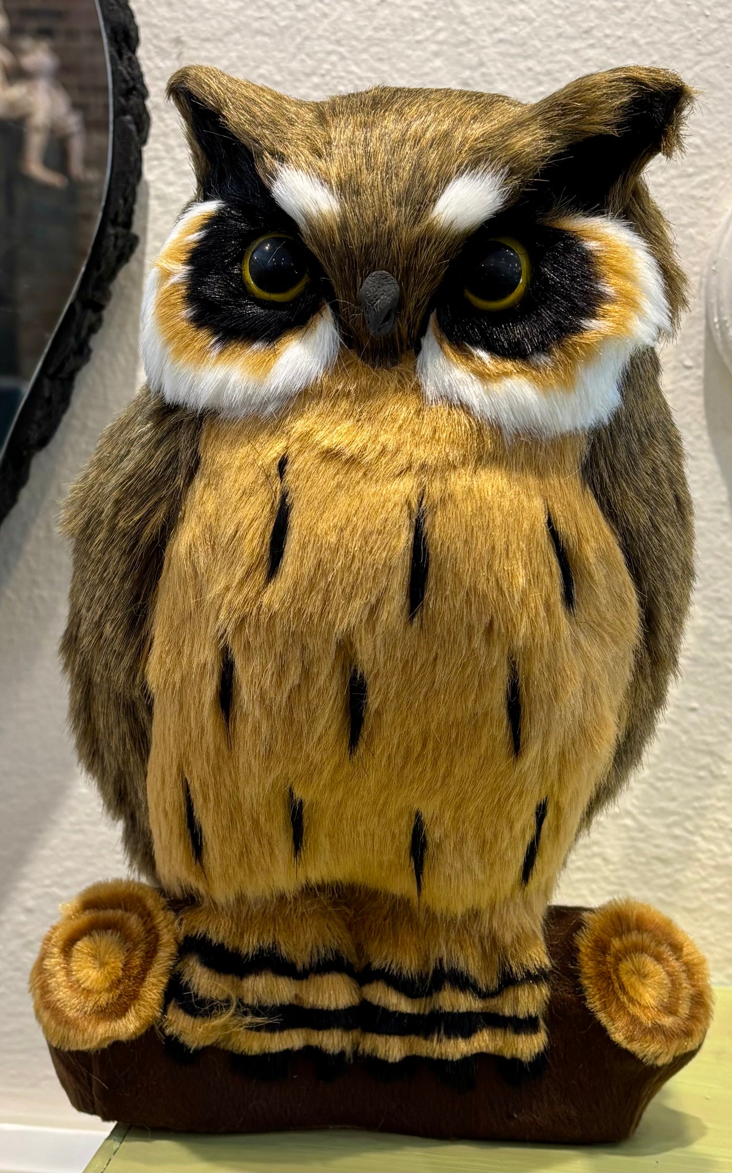 Great Horned Owl on Log/Large
