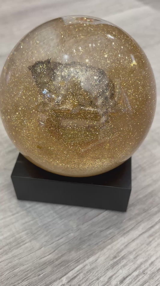 Snow Globe/Cat on Books