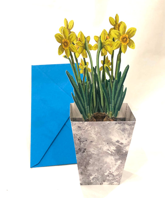 3D Card/ Daffodils
