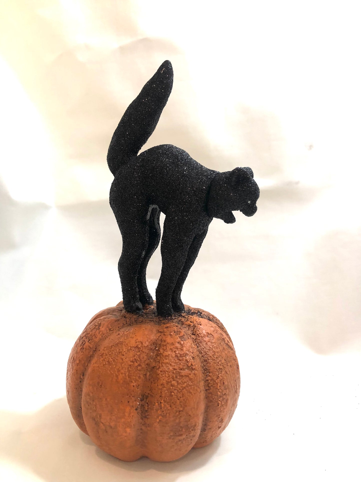 Black Glitter Cat on Pumpkin