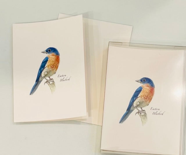 Note Cards, Eastern Bluebird