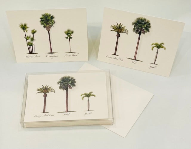 Note Cards, Palm Assortment