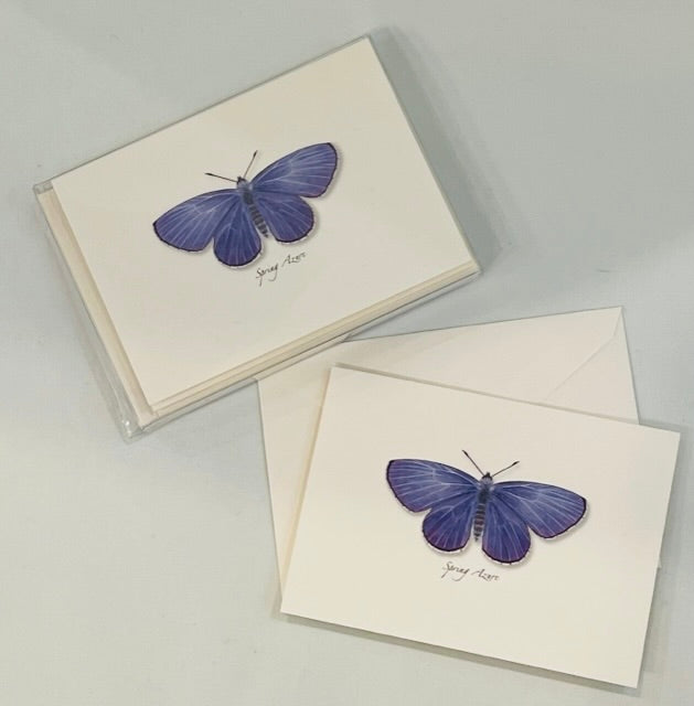 Note Cards, Blue Butterfly