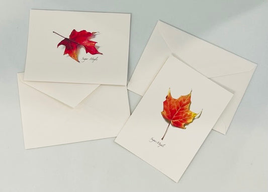 Note Cards, Maple Leaf