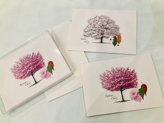 Note Cards, Cherry Trees