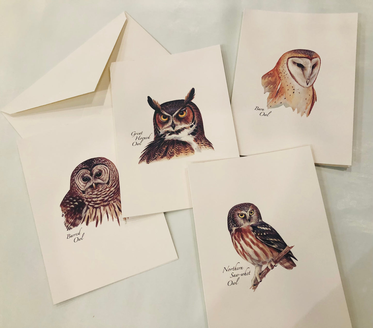 Note Cards/Owls/Peterson Assortment
