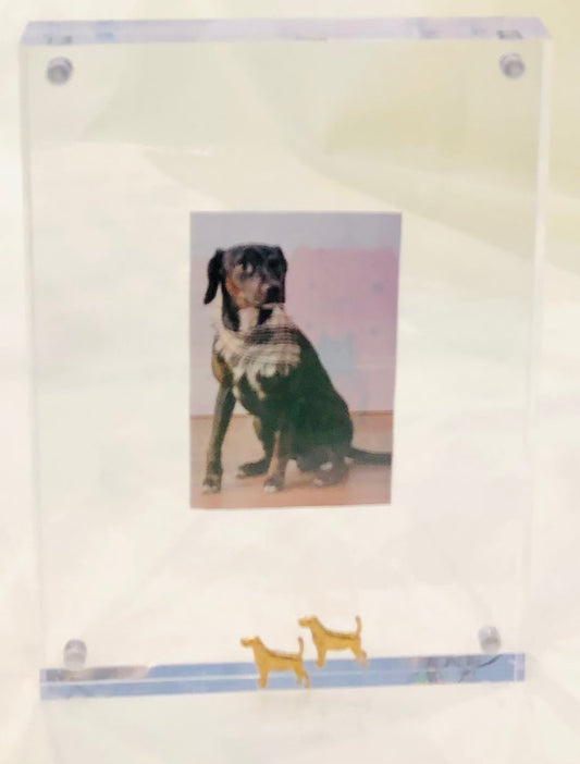 Acrylic Picture Frame, Dogs