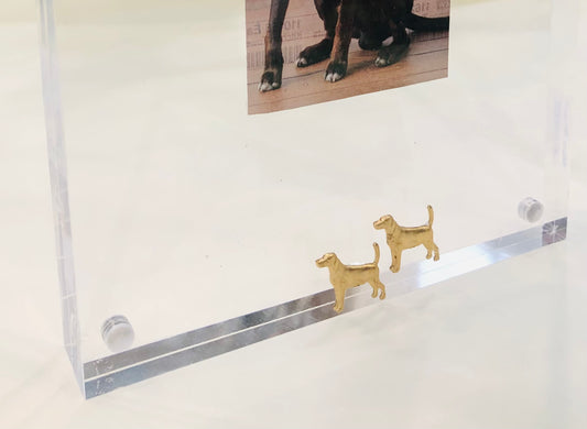 Acrylic Picture Frame, Dogs