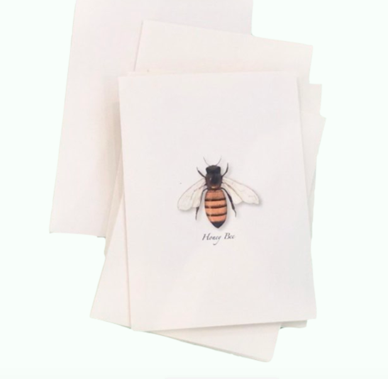 Note Card Set/Honey Bee