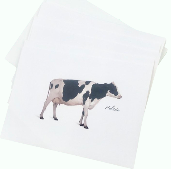 Note Card Set/Holstein Cow