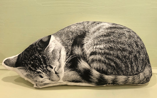 Pillow, Sleeping Cat