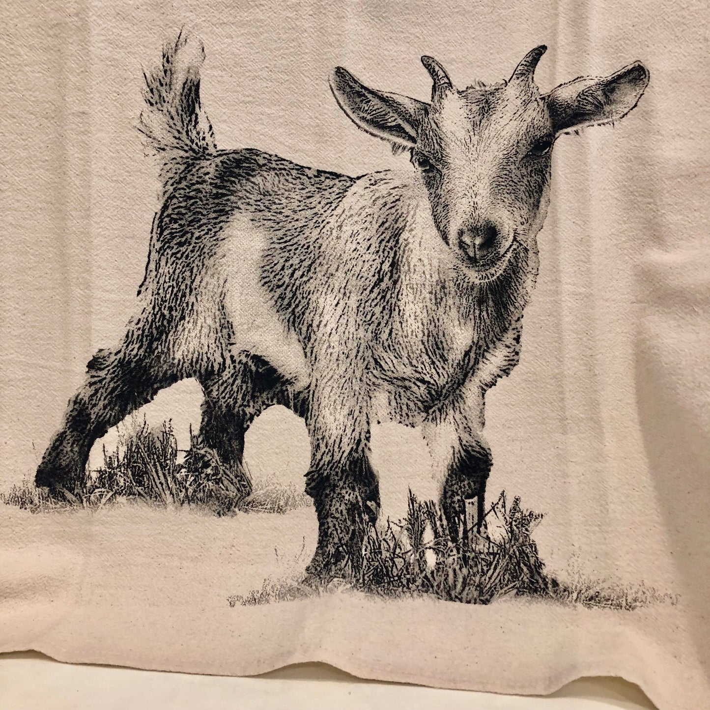 Towel, Flour Sack Kitchen Towel with Baby Goat