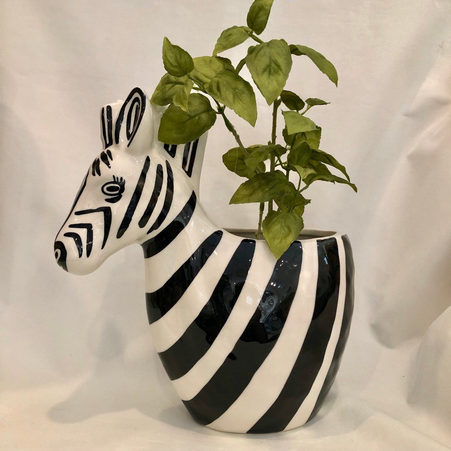 Planter, Zebra