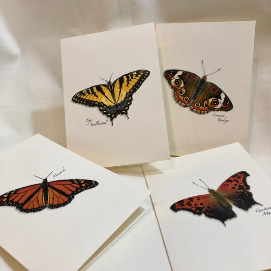 Note Card Set, Assorted Butterflies