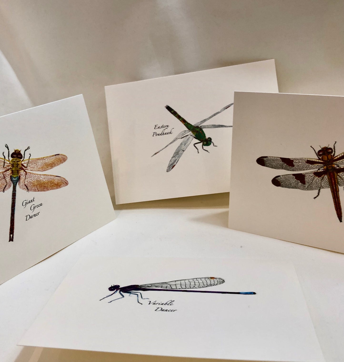 Note Card Set, Dragonfly & Damselfly Assortment