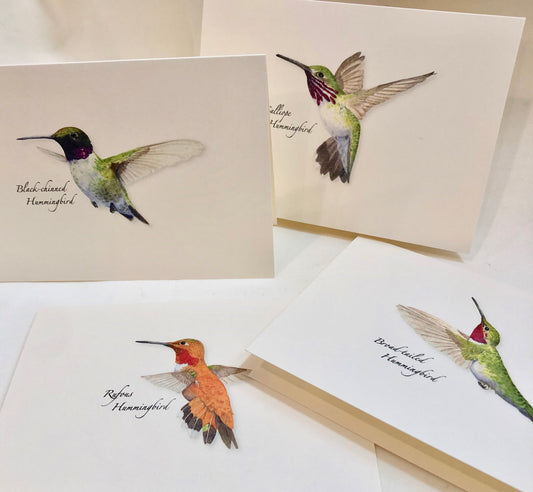 Note Card Set, Western Hummingbird Assortment