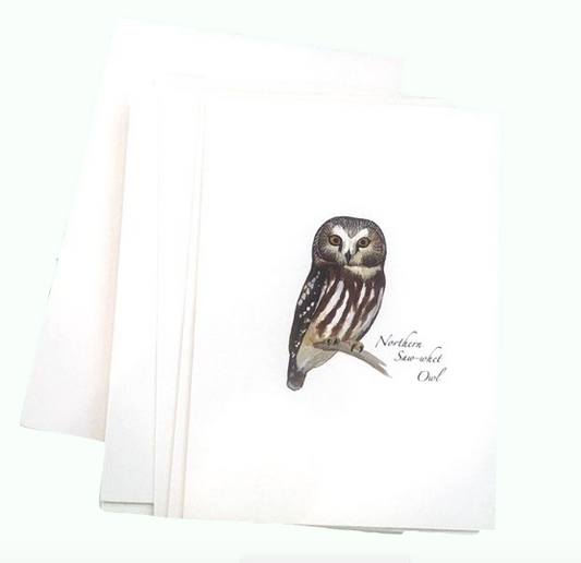 Note Cards/Owls/Sibley Assortment