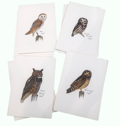 Note Cards/Owls/Sibley Assortment